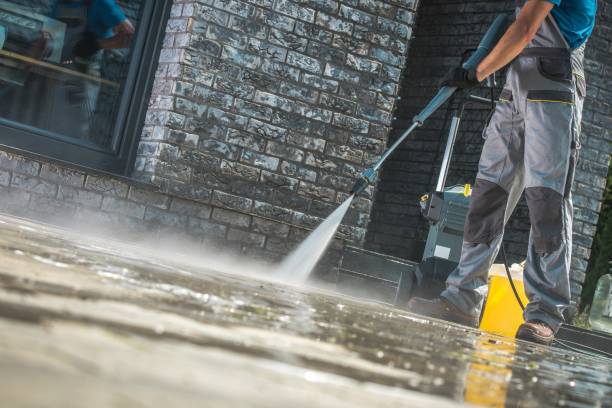 Best Animal Enclosure Cleaning  in San Leandro, CA